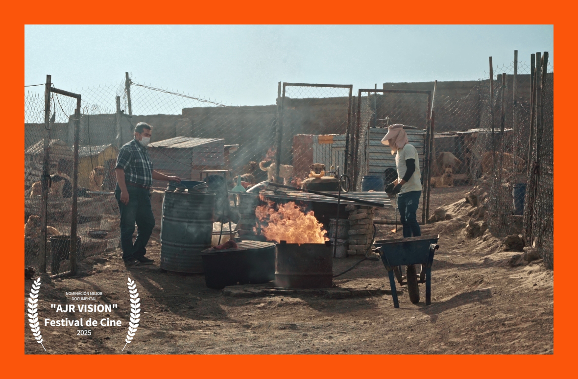 Best Documentary Nomination for MATIN at AJR Vision 2025